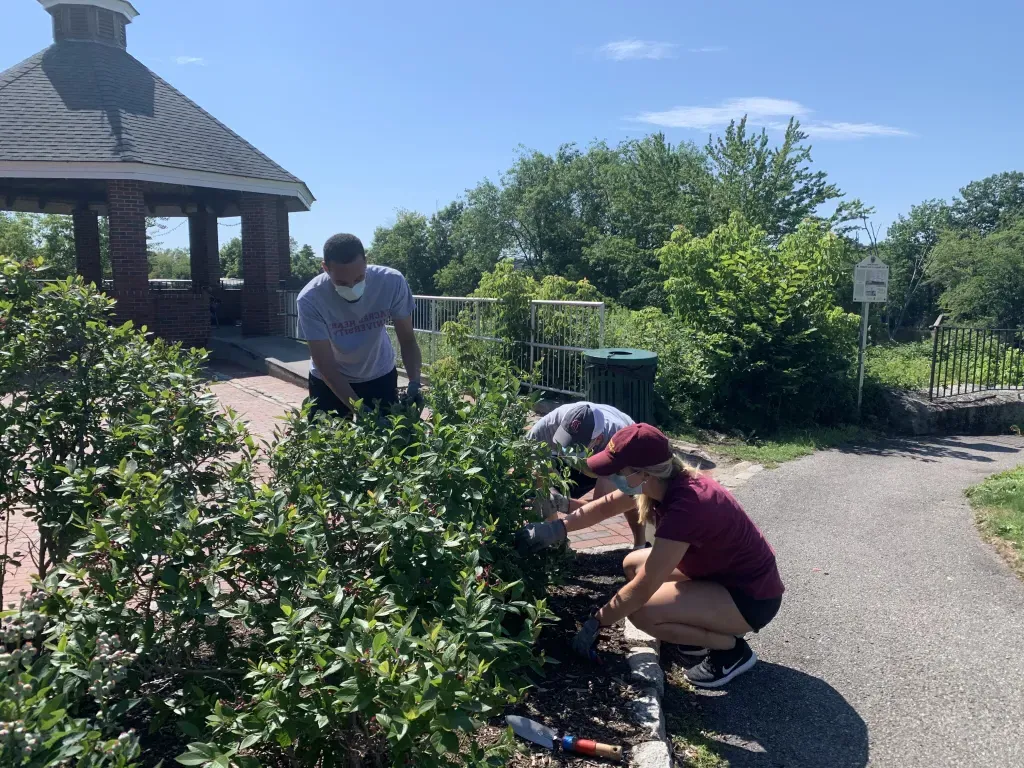 students work on the landscape in a park