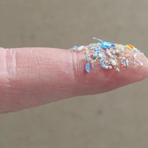 Photo showing a human finger holding small plastic fragments